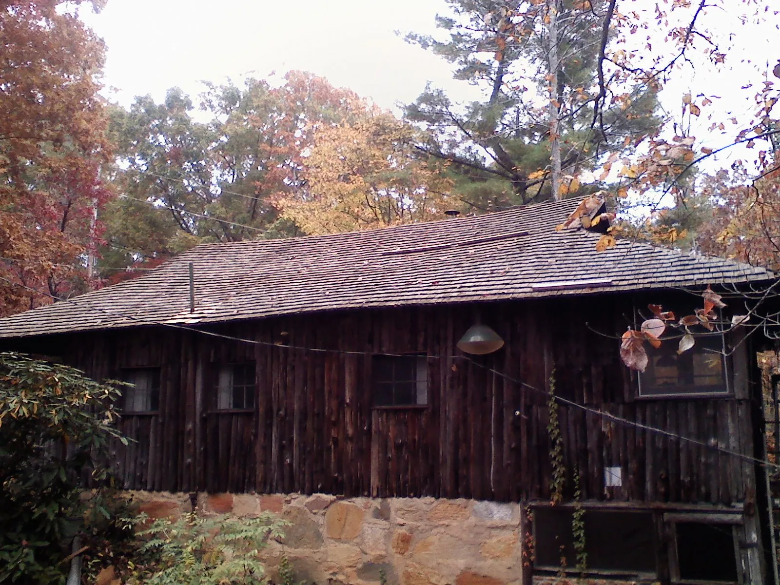 Weathered wood shake roof on a rustic board sided cabin in Speedwell